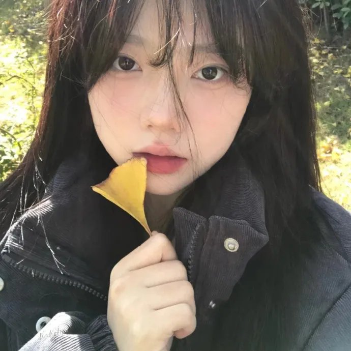 八角笼中海报