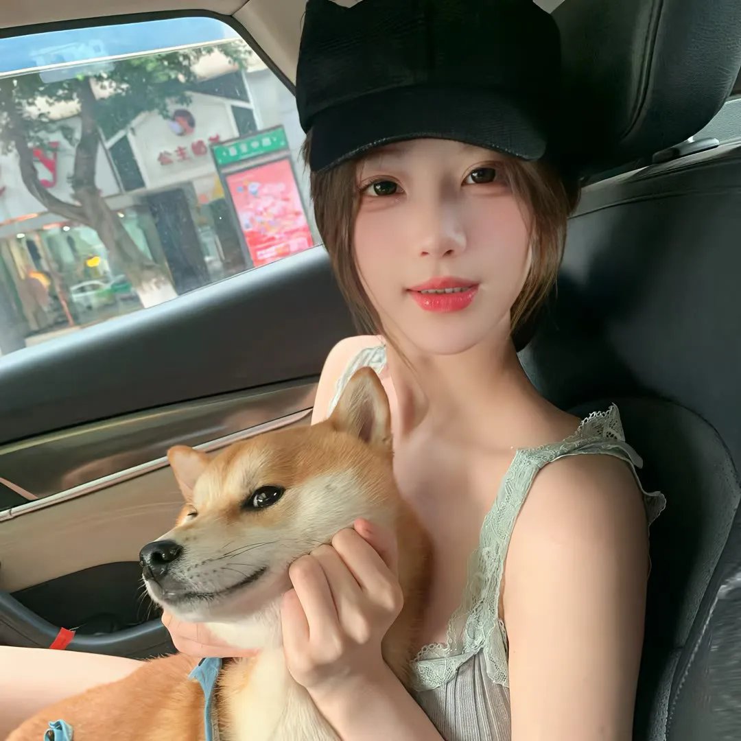 双子杀手海报